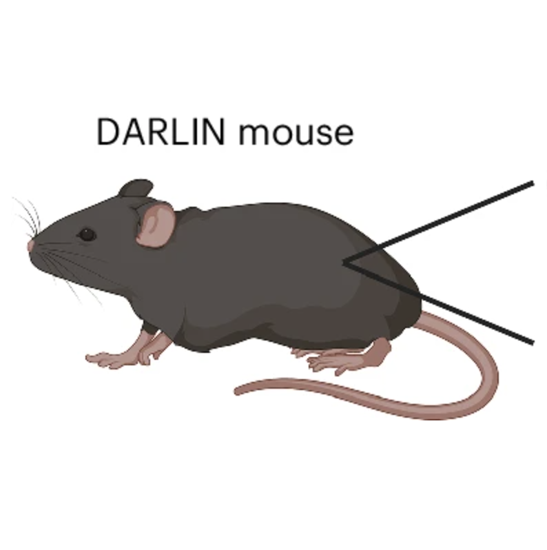 Citation thumbnail